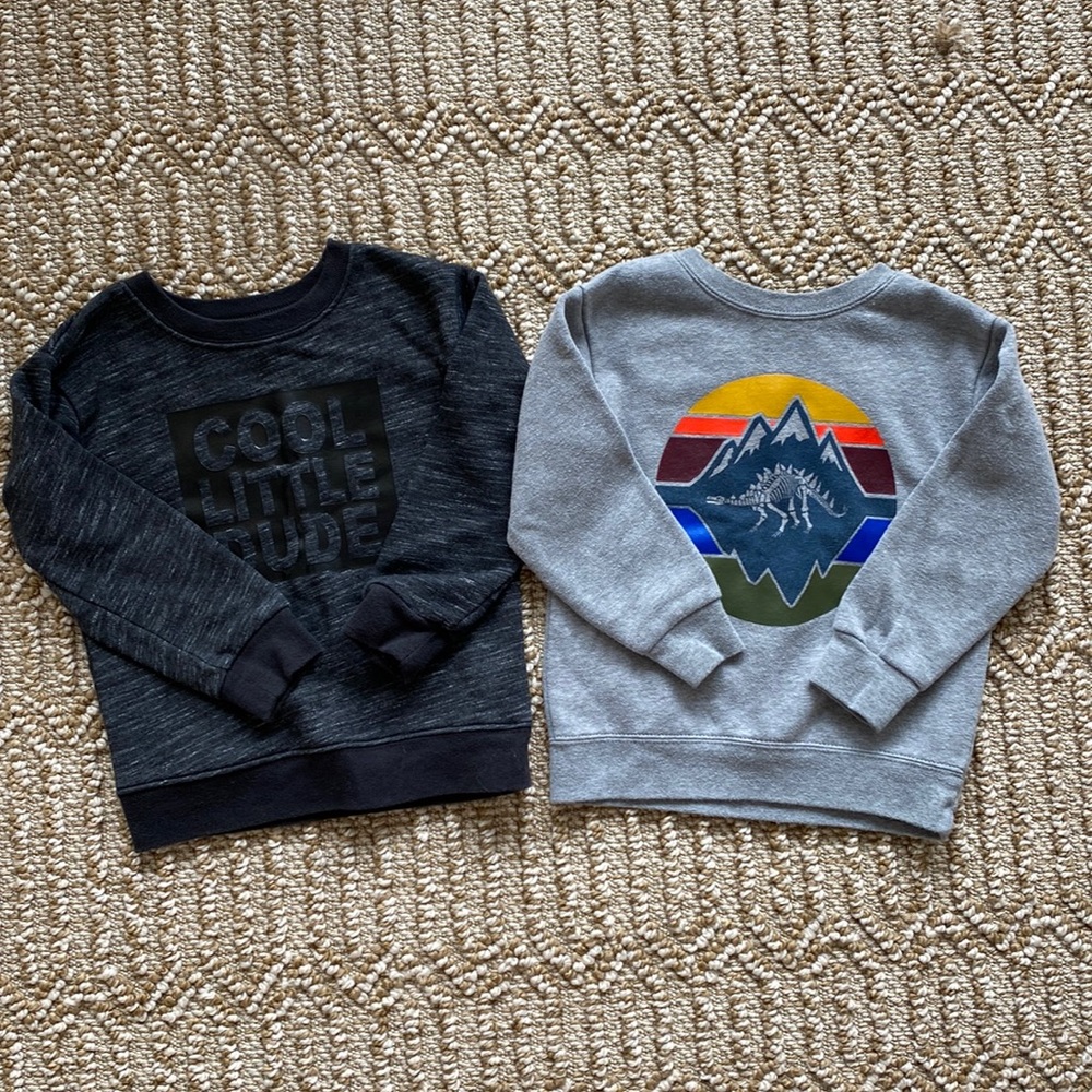 Set of 3T Boy Pullover Sweatshirts